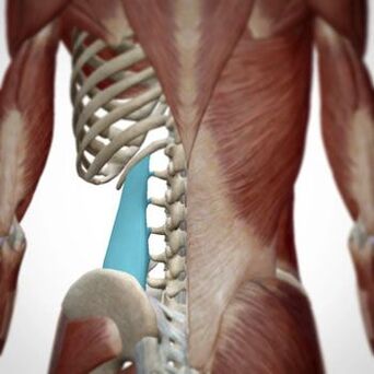 Pain can occur in different parts of the back